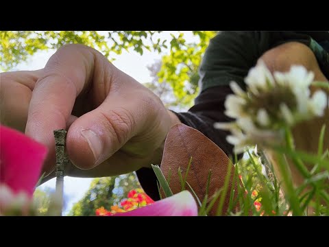 [LOFI ASMR] Playing in the Grass | Nature Sounds, Bird Sounds | Visual ASMR Triggers