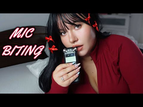 ୨ৎ Pure mic biting ASMR ⋆˙ brain melting, layered sounds, camera tapping | Tascam