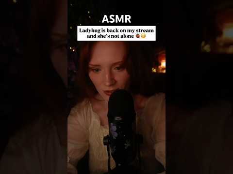 Ladybug 🐞 asmr whisper mouth sounds