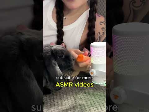 Relaxing ASMR for Stress Relief. Whisper & Tap Sounds
