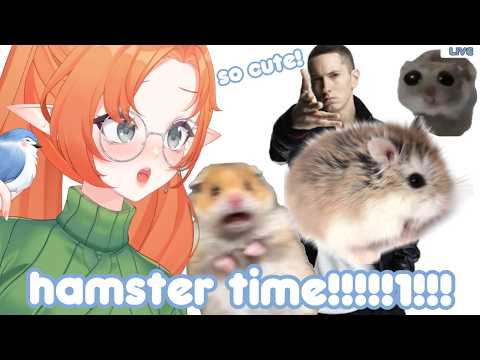 【MEDIA SHARE】 Accept Hampter 🫴🐹
