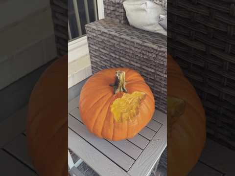 an artist and his masterpiece 🎃