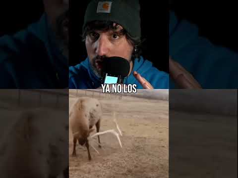 Perdió sus cuernos 🥺🥺🥺 Pobrecito 😭