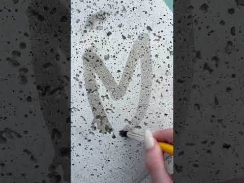 random asmr animal facts on the pool concrete #asmr #relax #animalfacts #cleaning #fyp