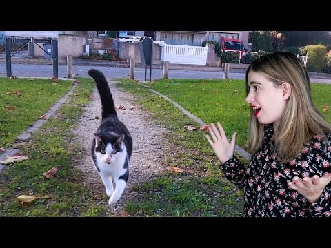 [ASMR] Mon chat me suit partout en balade !