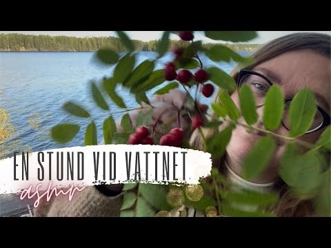 ASMR (lo-fi): Häng en stund med mig vid vattnet 🐳
