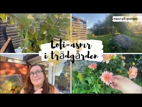 ASMR (lo-fi) från min trädgård 🌾🌸🫛