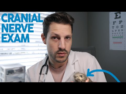 ASMR Cranial Nerve Exam (everything is wrong) Medical Doctor Roleplay