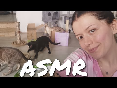 ASMR ✨ // chaotic toy unboxing with my cats 🐈 and dogs 🐕