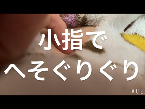 ASMR オノマトペぐりぐり⚠️【request move】