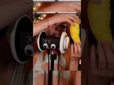 the sensory slug chat named Shakira 😝 #asmr #asmrshorts