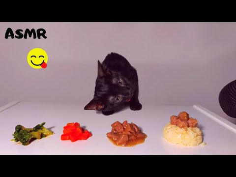 Kitten eating broccoli, carrot, rice, wet food ASMR