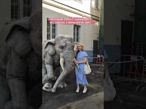жду в своём тгк: alisafennec