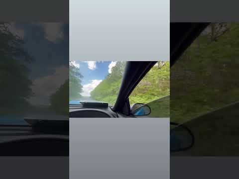 Driving in the moostang 🐎