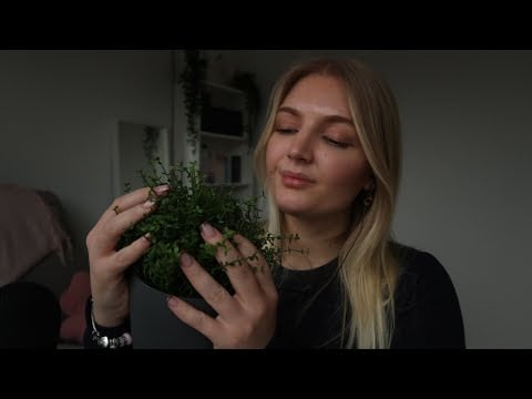 ASMR wenn du jetzt Einschlafen möchtest 🥱