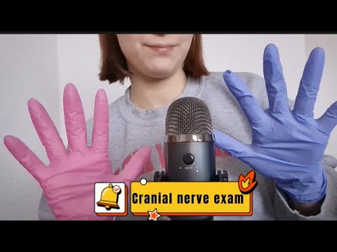 Fast Cranial Nerve Exam [ASMR] -  ( German/Deutsch )