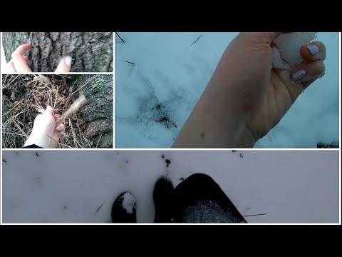 ASMR - Walking In The Snow ❄️