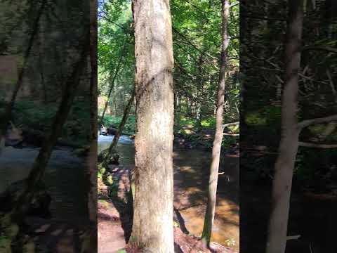 Nature Walk ASMR #asmr #relax #fypシ #fy #whispers #softspoken #nature #asmrtingles #triggers