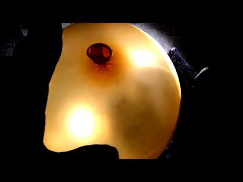 ✽ஜீ✽Balloon in Gold with Velvet GLOVES✽✽✽[[ASMR]]