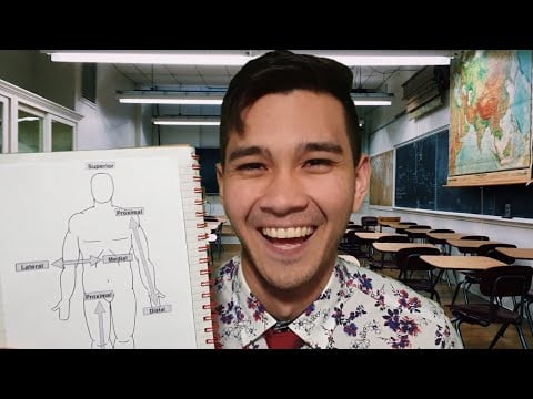 ASMR Anatomy Lesson by a Real Physiotherapist 👨‍⚕️ | Soft Spoken Medical Education
