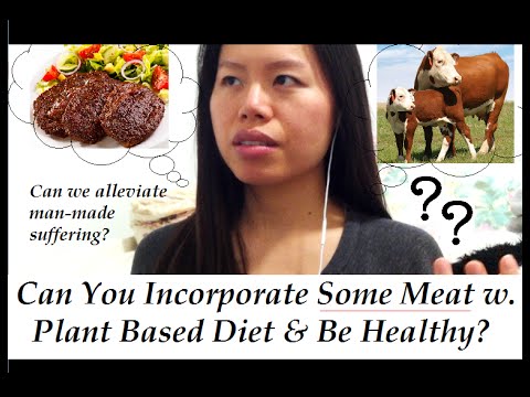 Small Portion of Meat With a Plant Based Diet Healthy?