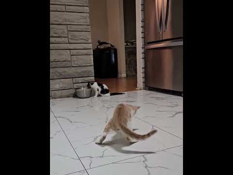 Jaydyn and Spooks