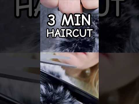 3Min Haircut (Furry Ears) #asmr #relax #binaural #asmrhaircut #eartoear