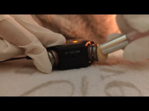 Ear cleaning CLINIC ASMR - Q-tip ear cleaning, ear massage, latex gloves and many MORE triggers