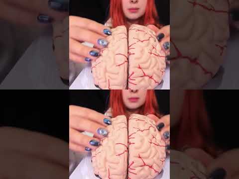 ASMR 🧠 BRAIN TINGLES... Literally! Sleep & Relaxation #asmr #shorts