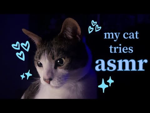 my cat tries ASMR!! 25 minutes of cat purring, crunching, scratching + petting fur sounds + more)