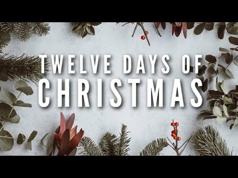 ASMR | (12) 'TWAS THE NIGHT BEFORE CHRISTMAS by Clement Clarke Moore [Twelve Days of Christmas]
