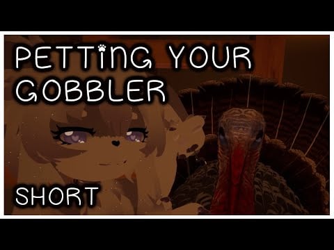 Thanksgiving Special | Petting Your Gobbler VR ASMR Silly😆Bet You Can't Watch This Without Smiling!