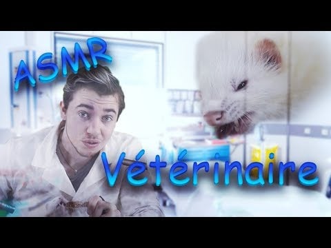 Asmr français : Rôle Play Vétérinaire 😻