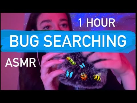 ASMR noa | 1 hour of bug searching🦋