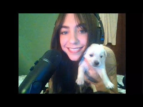 asmr y2k susurros suavecitos y cachorritos °❀⋆.ೃ࿔*:･°❀⋆.ೃ࿔*:･