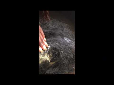 Asmr my scalp is itching Scratch  #asmr #satisfying  #oddlysatisfying