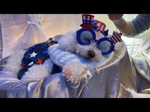 ASMR Labor Day Getting ready!