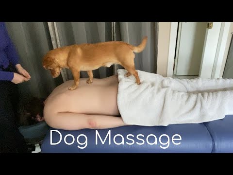 [ASMR] Unique Dog Massage ft. Chili B 😁🐱