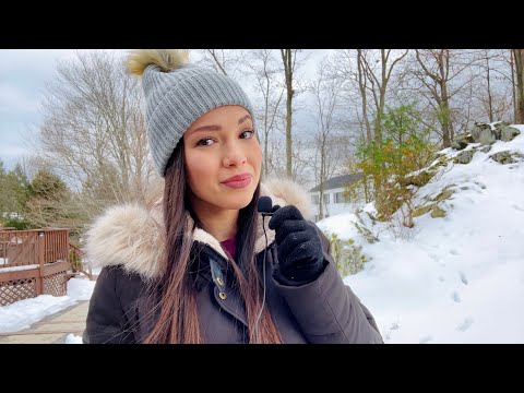 ASMR - LoFi Whisper Ramble in the Snow