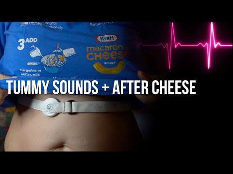 My Tummy Gurgles After Eating Cheese | Tummy Sounds After Eating & Puppy Eating Peanut Butter