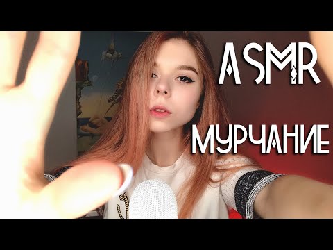 АСМР мурчание 😻 и визуальные триггеры для сна | ASMR kitten purr and visual triggers