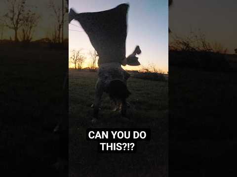 CAN YOU DO THIS? #fyp #funny #gothmusic #goth #gothic #silly