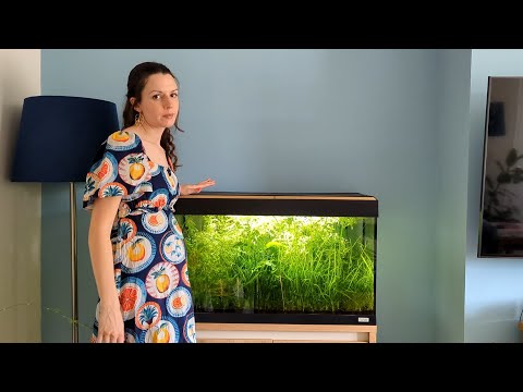 'Relaxing' Fish Tank & Filter Cleaning