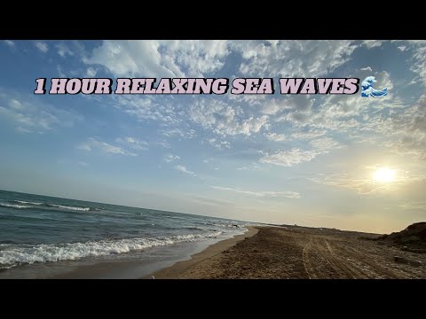 1 Hour Relaxing Sea Waves 🌊 1 Saatlıq Rahatlaşdırıcı Dəniz dalğası 🌊😴