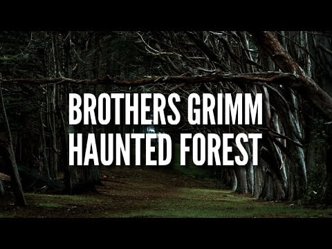 BROTHERS GRIMM HAUNTED FOREST - Wind Rustling & Haunted Sounds | ASMR ATMOSPHERE