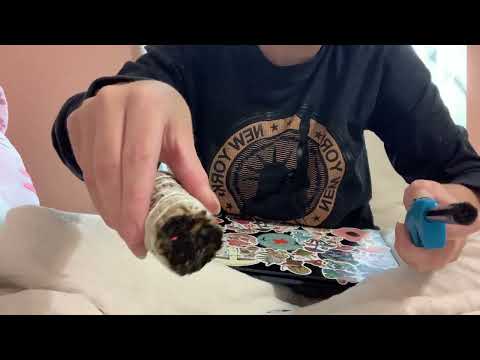 \\FAST AND AGGRESSIVE ASMR//