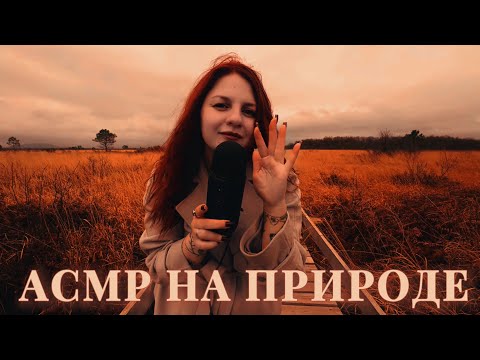 АСМР спокойствие за секунды | там, где танцуют травяные невесты 🌿