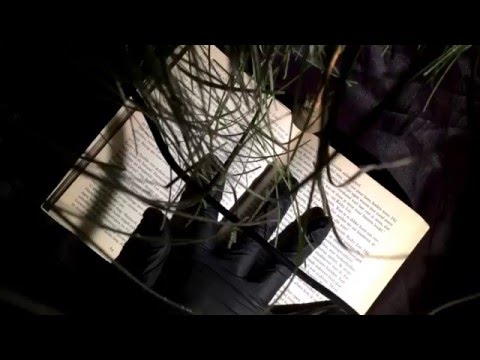 🔸LATEX GLOVES🔸   Reading IT💥 in my secret🔒😎 place [[ASMR]]