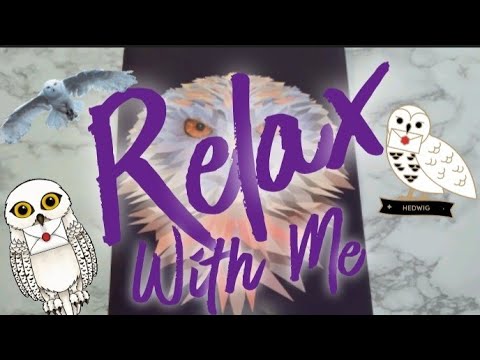 Part 2: LO-FI ASMR TRIGGERS: THE MAGNIFICENT(Hedwig)OWL 🦉 STICKER PUZZLE (Chewing Gum &Tapping) #80