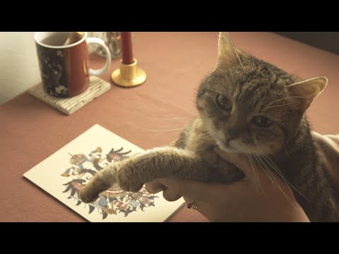 ASMR Some Spanish Habsburg History (soft spoken, with cat purring)